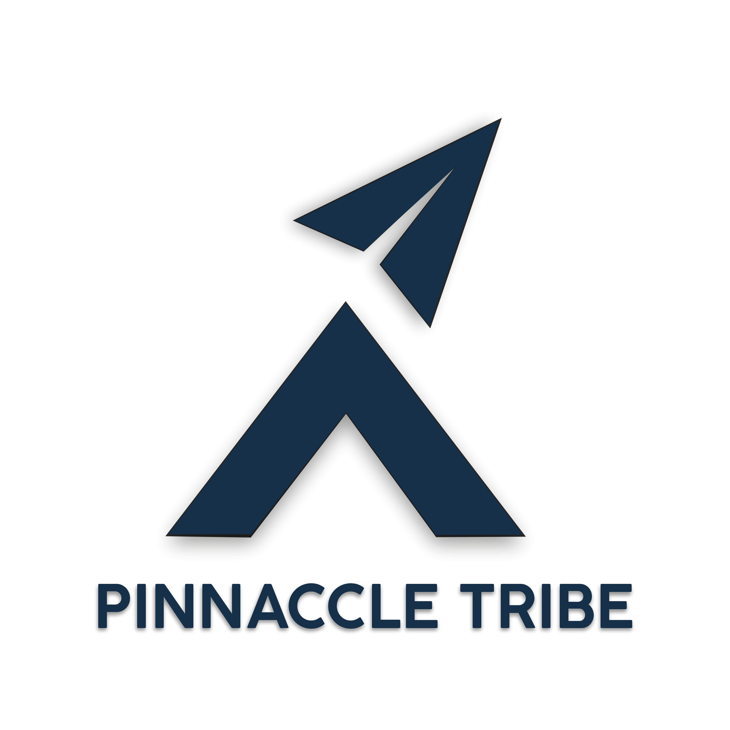Pinnaccle Tribe project showcase